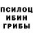 Галлюциногенные грибы Psilocybe Nikita Kurtsak
