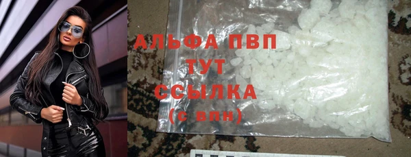 apvp Алзамай