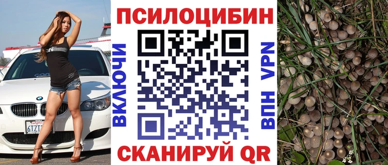 Галлюциногенные грибы Psilocybe  что такое   Навашино 